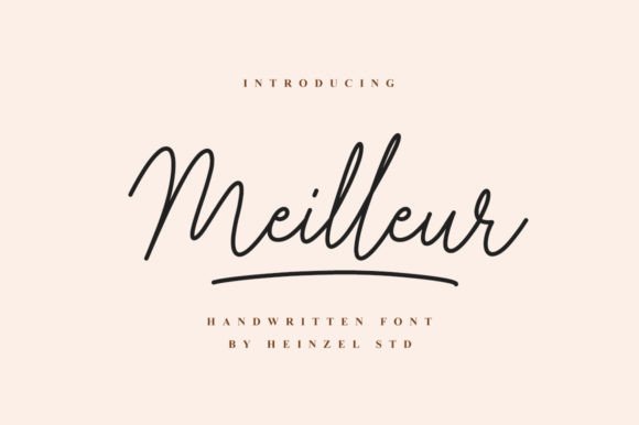 Evaluating the Meilleur Handwritten Font