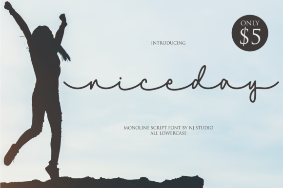 Niceday: The Flowing Heart of Your Creative Projects