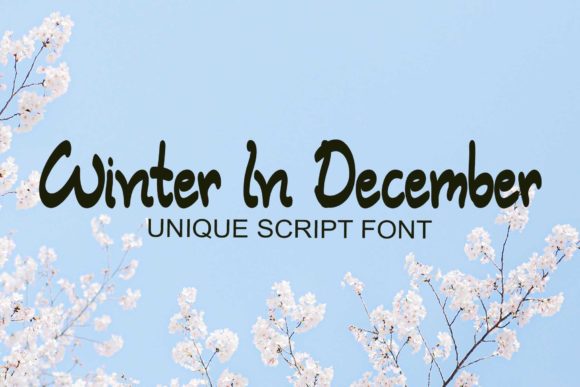The Winter in December Font: A Process for Integrating Delicate Typography